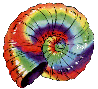 rainbowshell